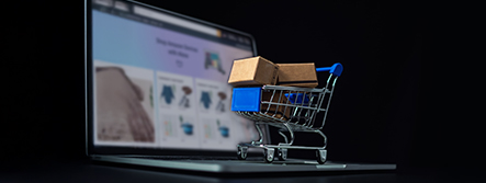 E-commerce website shopping cart
